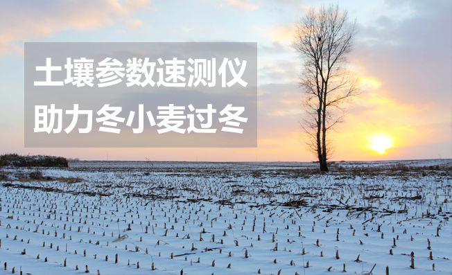 我国或现60年一遇的寒冬，土壤参数速测仪助力冬小麦过冬！
