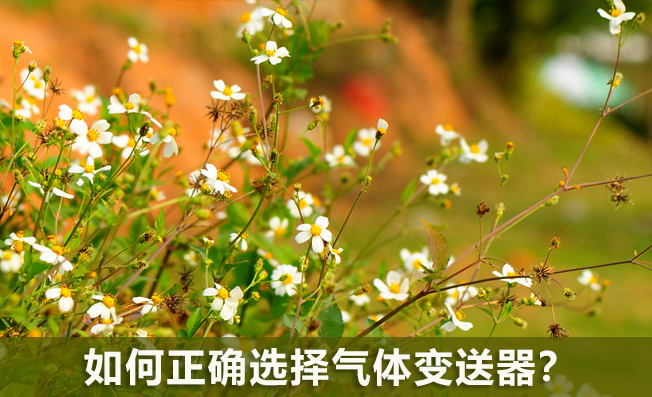 如何正确选择气体变送器？