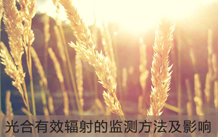 光合有效辐射的监测方法及影响