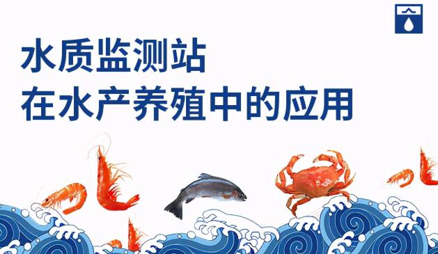 水质监测站在水产养殖中的应用