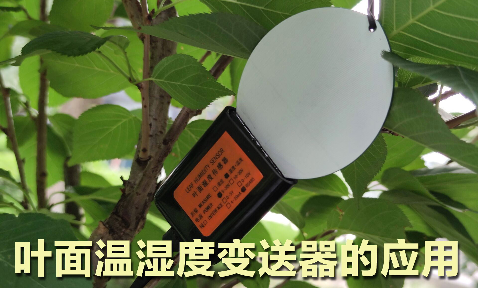页面半岛电子体育竞技平台官网
的功能特点