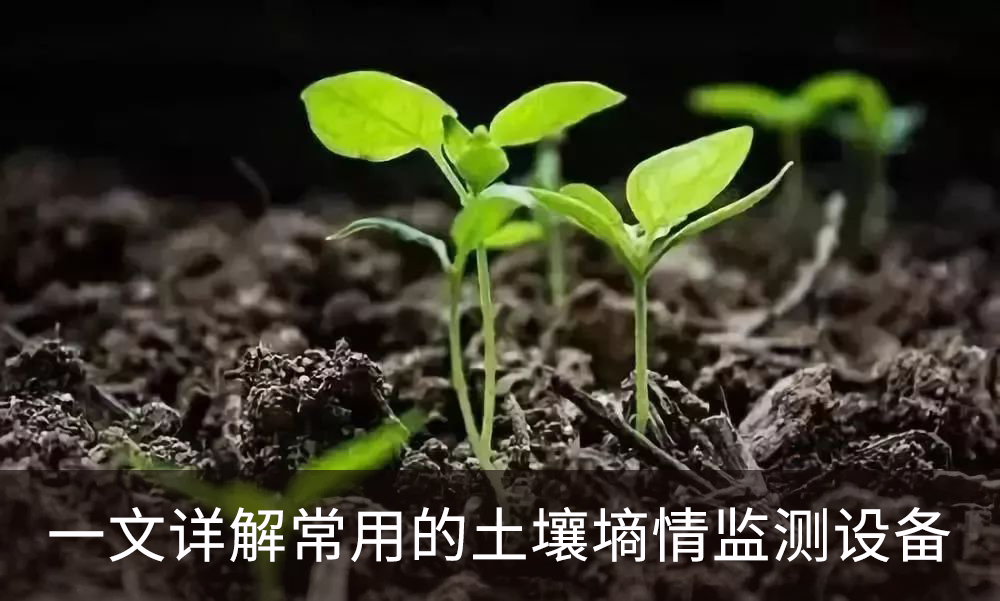 一文详解常用的土壤墒情监测设备