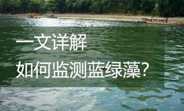 一文详解如何监测蓝绿藻？