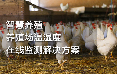 智慧养殖——养殖场温湿度在线监测解决方案