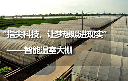 “指尖科技，让梦想照进现实”——智能温室大棚