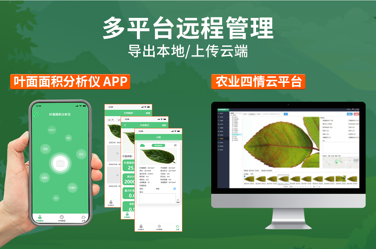 叶面面积分析仪_05.jpg